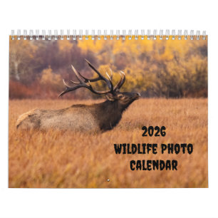 Calendário Médio de Duas Páginas da Foto Wildlife