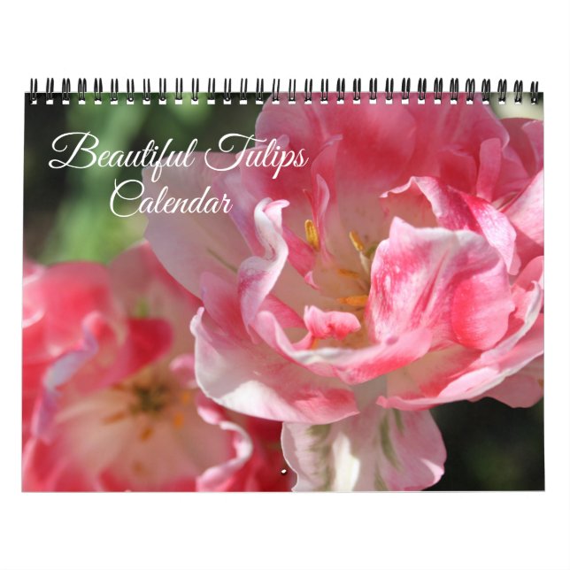 Calendário Medium Size Tulips Calendar (Capa)