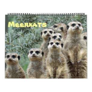 Calendário Meerkats 001