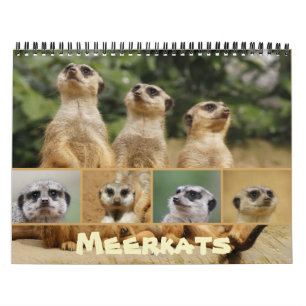 Calendário Meerkats 002