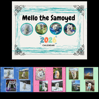 Calendário Mello the Samoyed 2026 Calendar