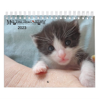 Calendário Melt Your Heart - MEOW 2023 Kitten Calendar