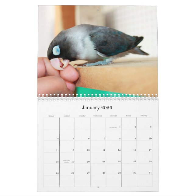 Calendário Memória Pocky do doce do lovebird (Jan 2026)