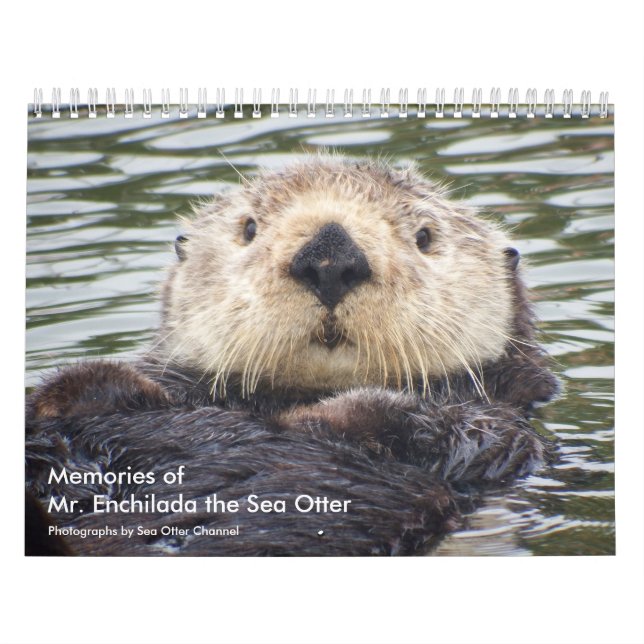 Calendário Memories of Mr.Enchilada Calendar (Capa)