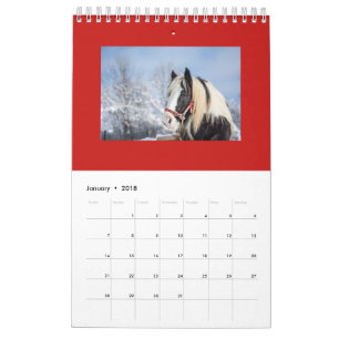 CALENDÁRIO MENSAL DO PLANEAMENTO DO CAVALO