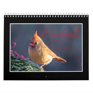 Calendário Mensal dos Cardinals