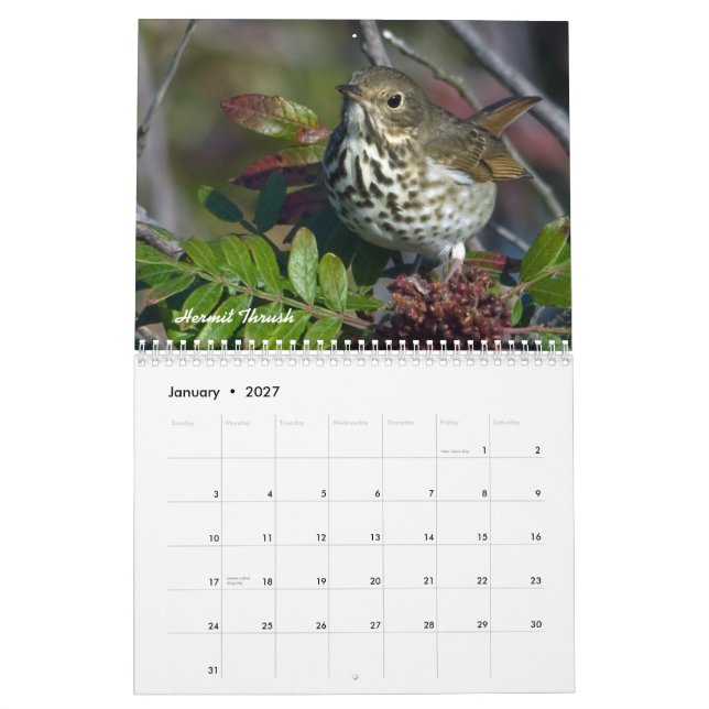 Calendário mensal dos pássaros do jardim (Jan 2027)