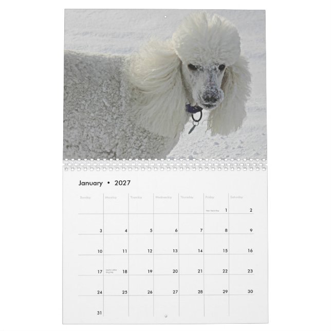 Calendário Mesmo os cães tomam o tempo cheirar as flores (Jan 2027)