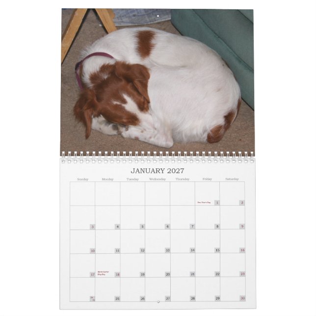 Calendário Meu Brittanys 2011 (Jan 2027)