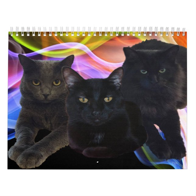Calendário Meu trio dos amigos (Capa)