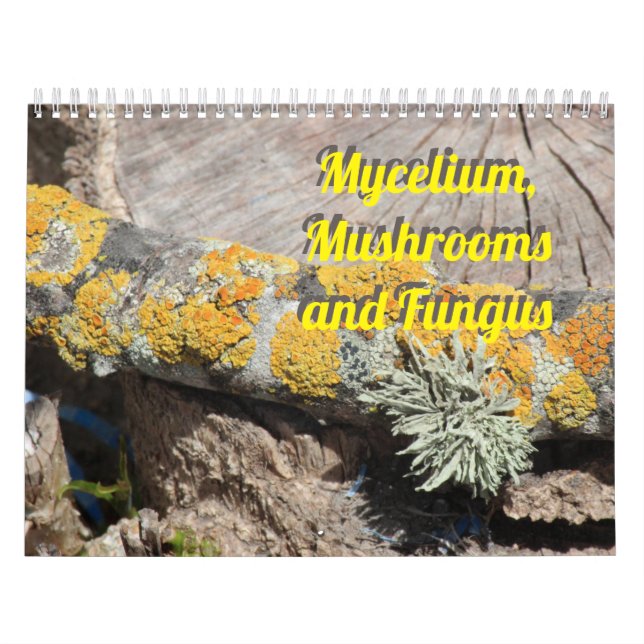 Calendário Micélio, Cogumelos e Fungos (Capa)
