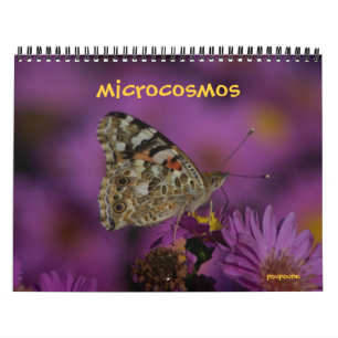 Calendário microcosmos