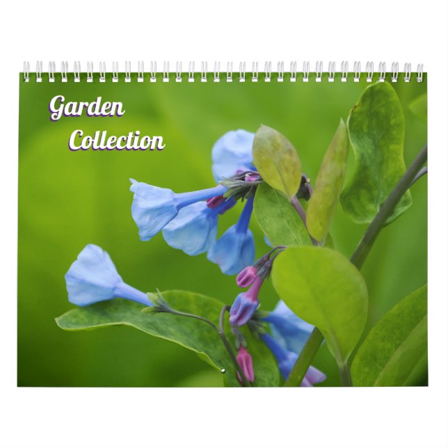 Calendário Minha Coleção de Jardim (Capa)