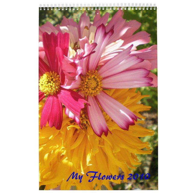 Calendário Minhas Flores (Capa)