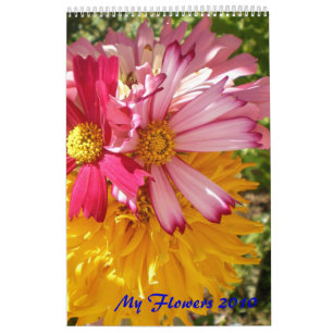 Calendário Minhas flores 2012