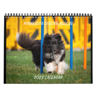 CALENDÁRIO MINNESOTA SHELTIE RESCUE 2023