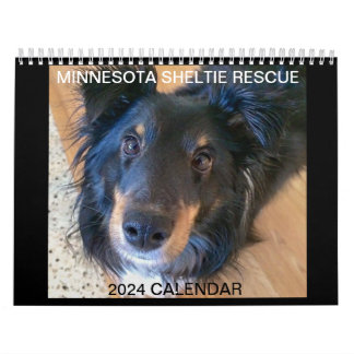 CALENDÁRIO MINNESOTA SHELTIE RESCUE 2024