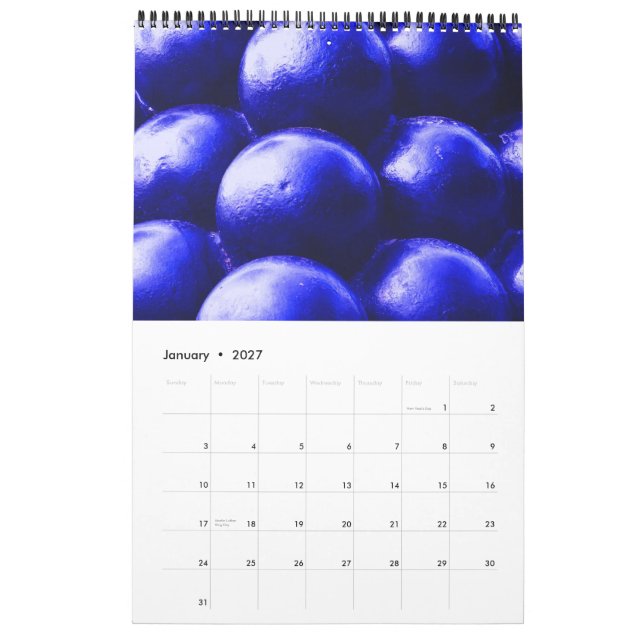 Calendário Mistério e história do ~ de South Carolina (Jan 2027)