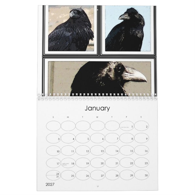 Calendário místico do corvo 2013 (Jan 2027)