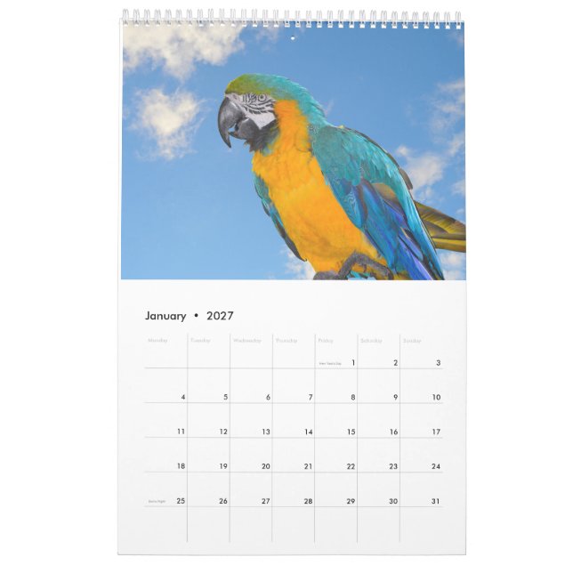 Calendário Mistos Animais e Aves (Jan 2027)