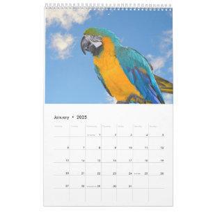 Calendário Mistos Animais e Aves