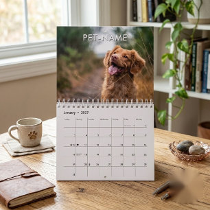 Calendário Modelo de foto personalizado de 14 cachorros com 1