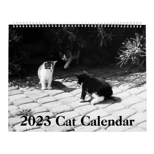 Calendário Moderno de Cat 2023 (Capa)