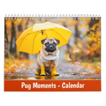Momentos de Pug – Um Ano de Charme & Bigodes