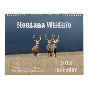Calendário Montana Wildlife