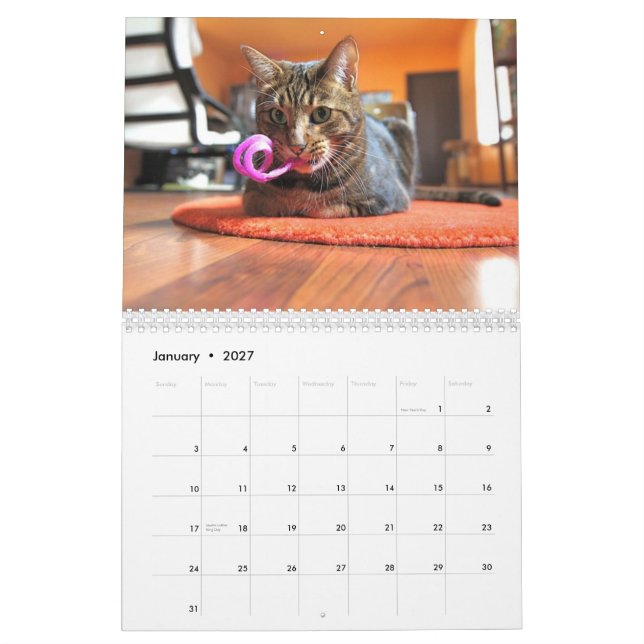 Calendário Mooki & Kiko 2010 (Jan 2027)