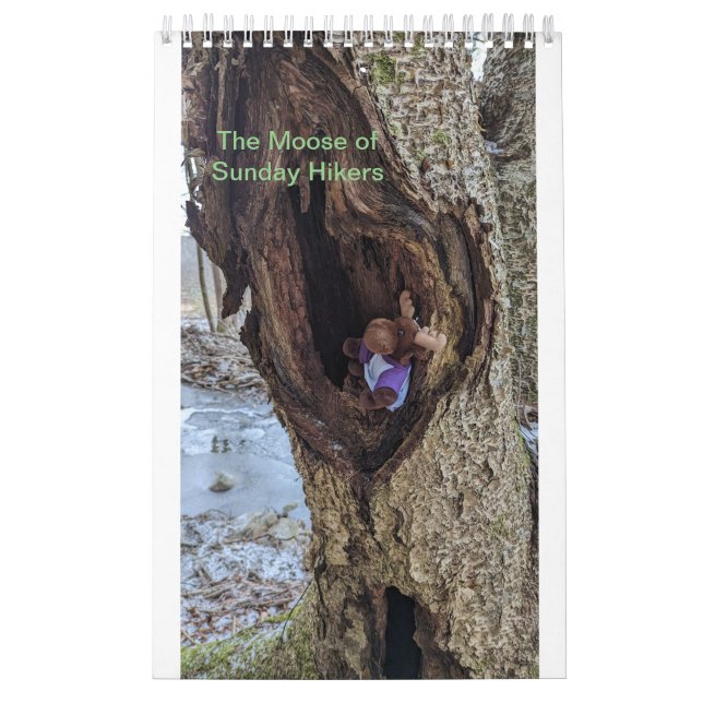 Calendário Moose Calendar (Capa)