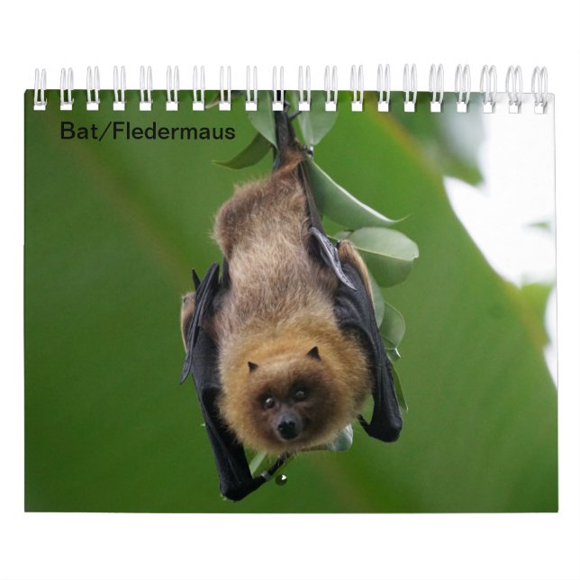 Calendário Morcego pediu como calendário/ (Capa)