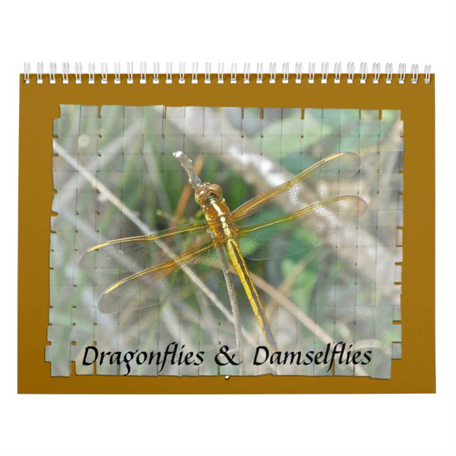 Calendário - Moscas e Damselflies (Capa)