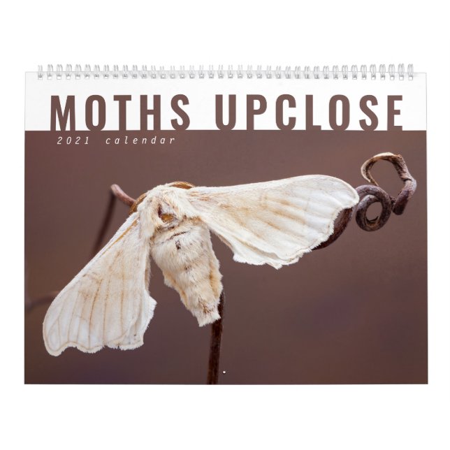 CALENDÁRIO MOTHS UPCLOSE 2021 (Capa)