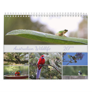 Calendário Motivação da fotografia da vida selvagem austral
