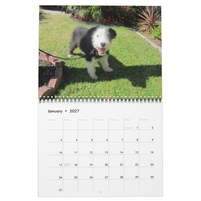 Calendário Mudança 2012 de junho dos filhotes de cachorro (Jan 2027)