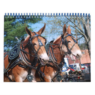 CALENDÁRIO MÚLTIPLOS DIAS