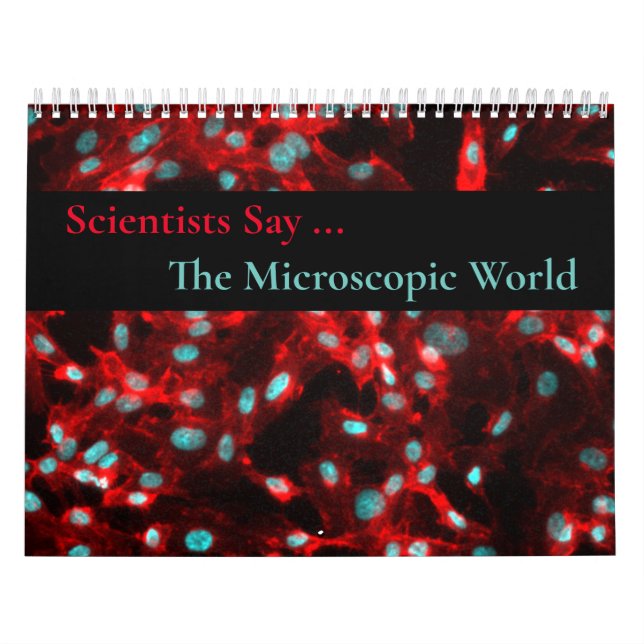 Calendário Mundial Microscópico (Capa)