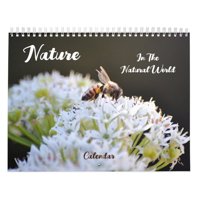 Calendário Mundial Natural da Natureza (Capa)