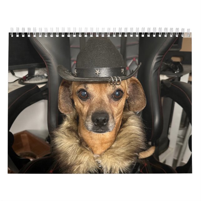 Calendário Mundo das Miniações (Capa)