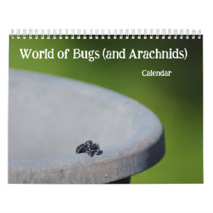 Calendário Mundo dos Insetos e Aracnídeos Crawly
