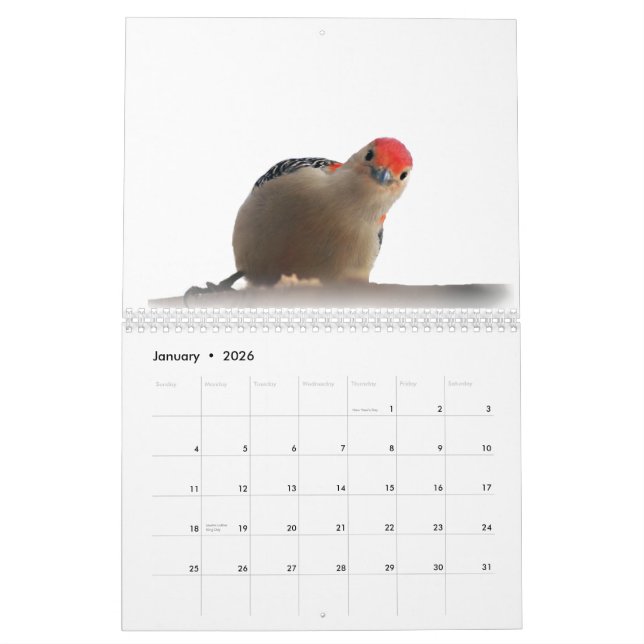 Calendário Mundo maravilhoso dos Woodpeckers 2015 (Jan 2026)