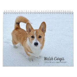 Calendário Muro de 2026 Fotografia do Cachorro Galês