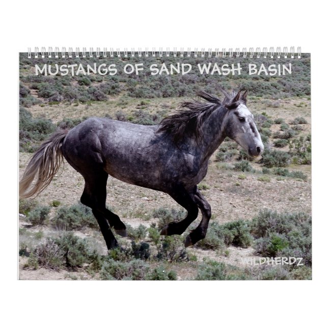 Calendário Mustangs de Sand Wash Basin Colorado (Capa)