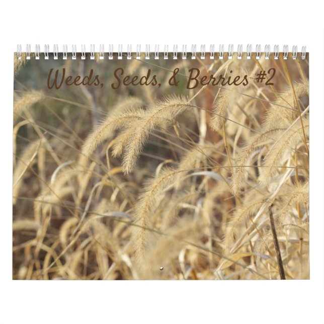 Calendário nº 2 de ervas daninhas, sementes e berr (Capa)