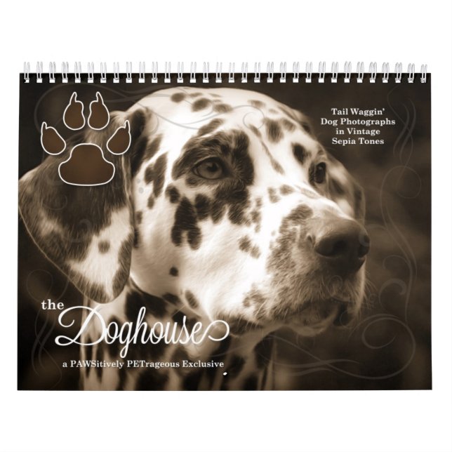 Calendário Na Casa dos Cachorros Diversão Dog Data (Capa)
