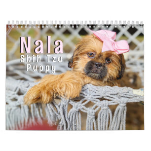 Calendário Nala Shih Tzu Cachorrinho Mais Fofo