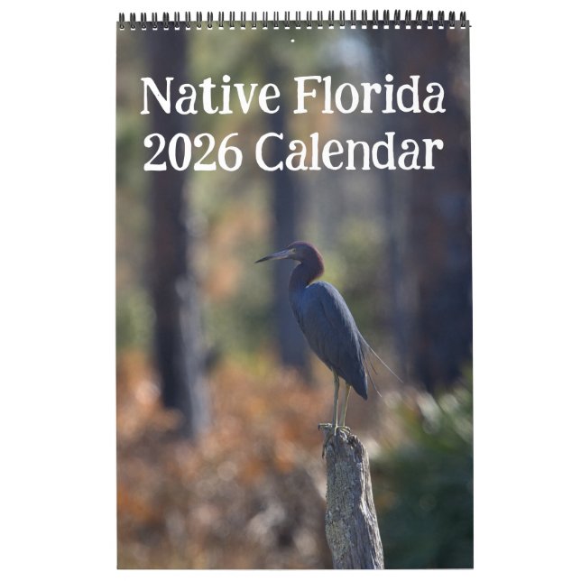 Calendário Nativo Flórida 2026 (Capa)