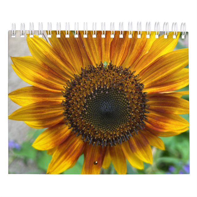 Calendário Nature Calendar (Capa)