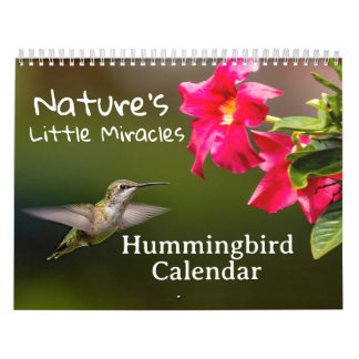 Calendário Nature's Little Miracles Hummingbirds
